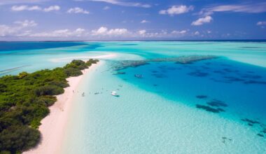 Paese tropicale che vai, vaccinazione che trovi