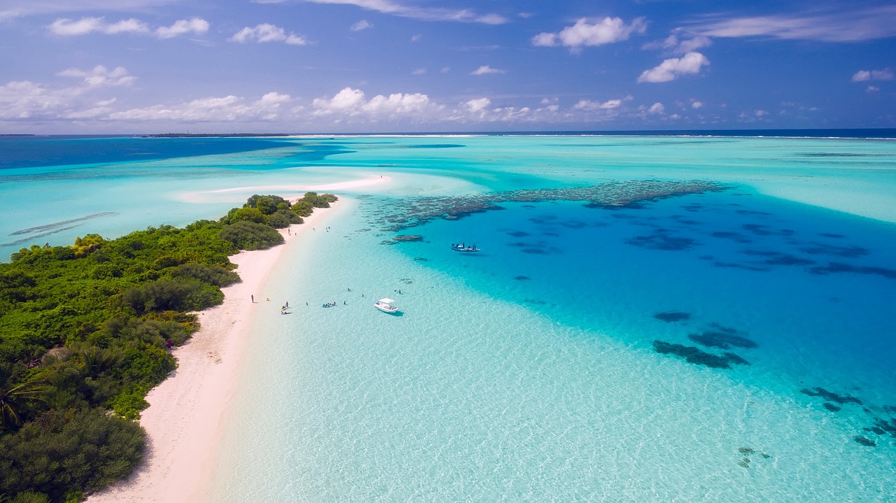 Paese tropicale che vai, vaccinazione che trovi