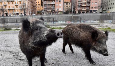 "Prioritario proteggere Modena e Reggio Emilia"