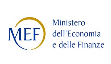 mef_2
