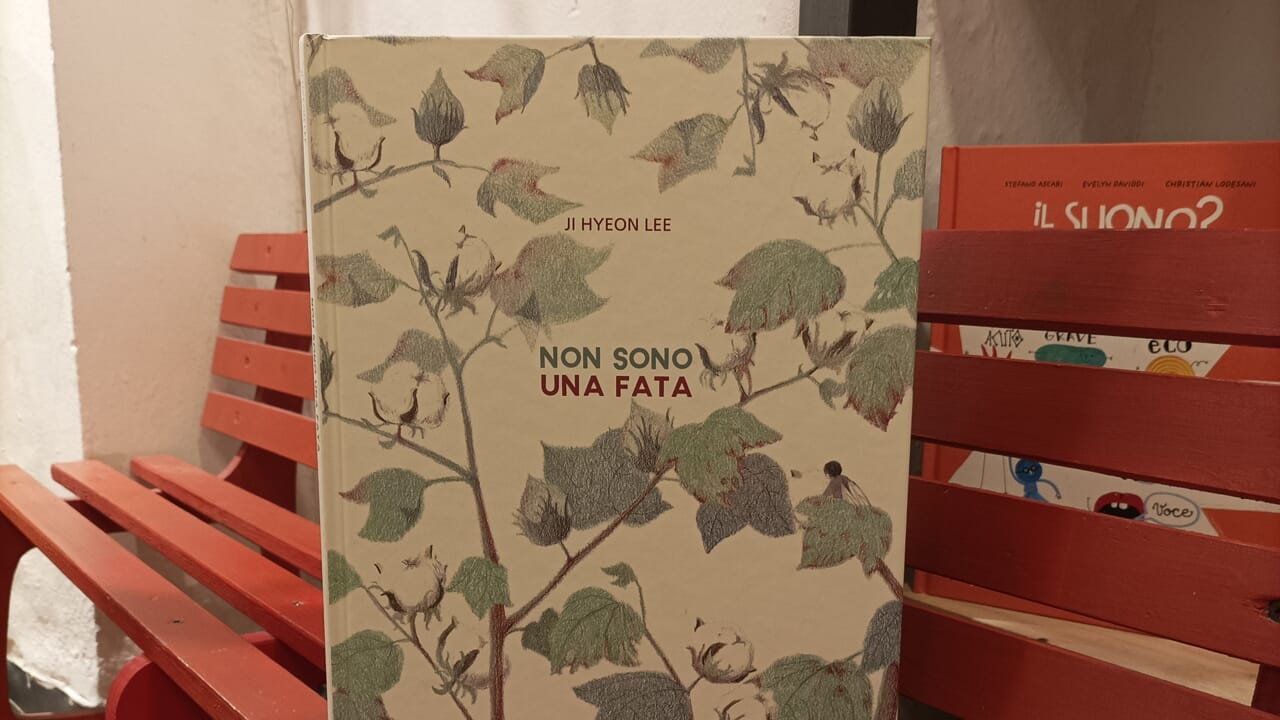 Non sono una fata, Ji Hyeon Lee, Orecchio acerbo