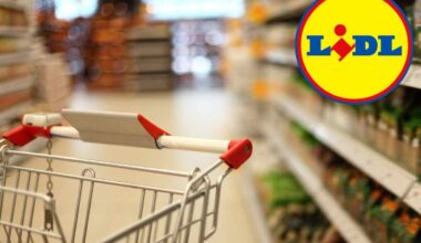 Da Lidl i prodotti più sani e genuini costano solo 3,99 euro! Così cucini bene e resti in forma