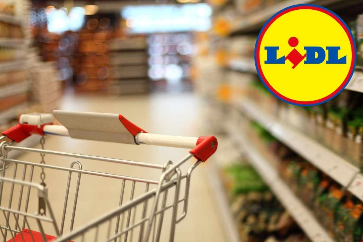 Da Lidl i prodotti più sani e genuini costano solo 3,99 euro! Così cucini bene e resti in forma