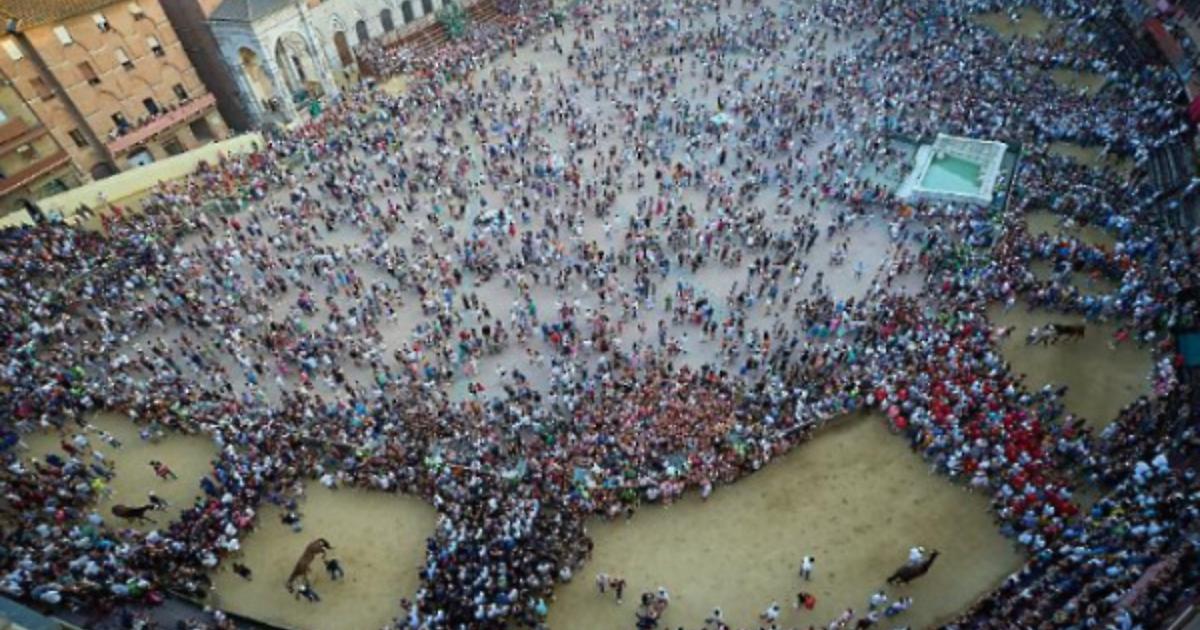Palio di Siena, le Contrade alla scelta dei fantini: il valzer delle monte
