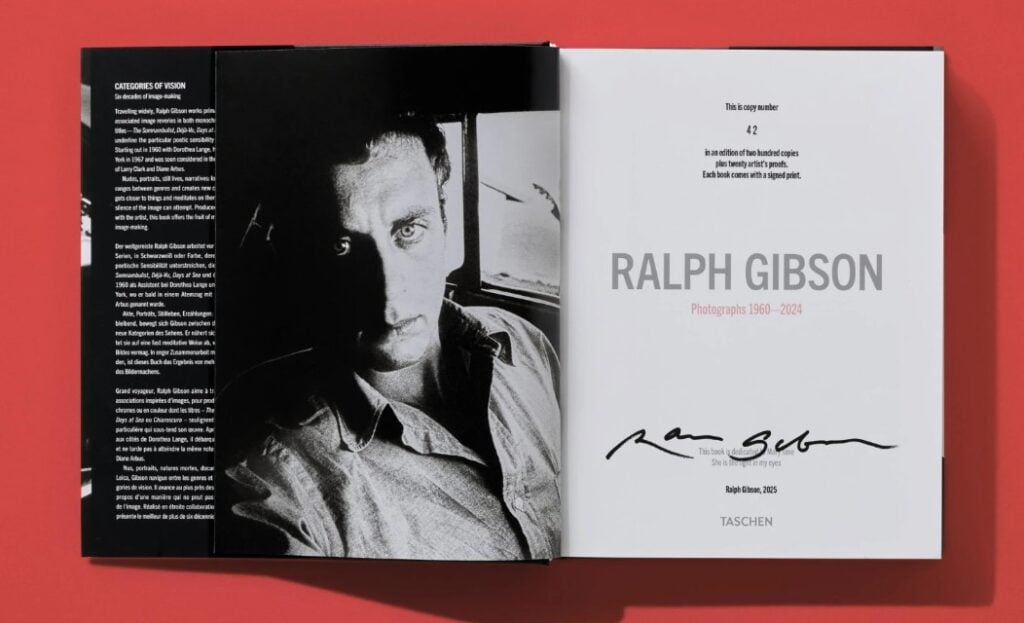 Libri-oggetto: viaggio tra 10 nuove uscite che trasformano le immagini in esperienze da sfogliare