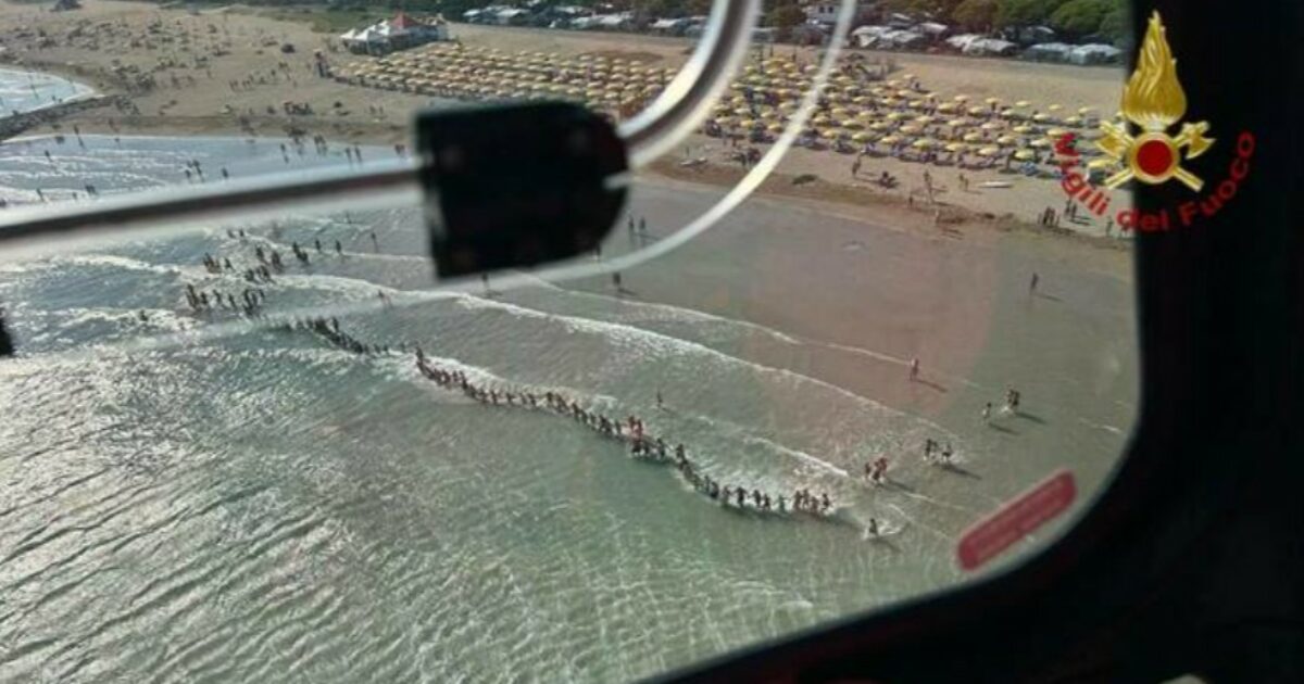 Bambino di 6 anni scomparso in mare a Cavallino Treporti: ricerche in corso
