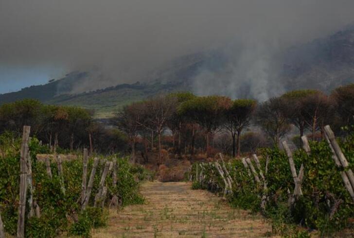 Fiamme Vesuvio, Protezione civile campana chiede invio Esercito