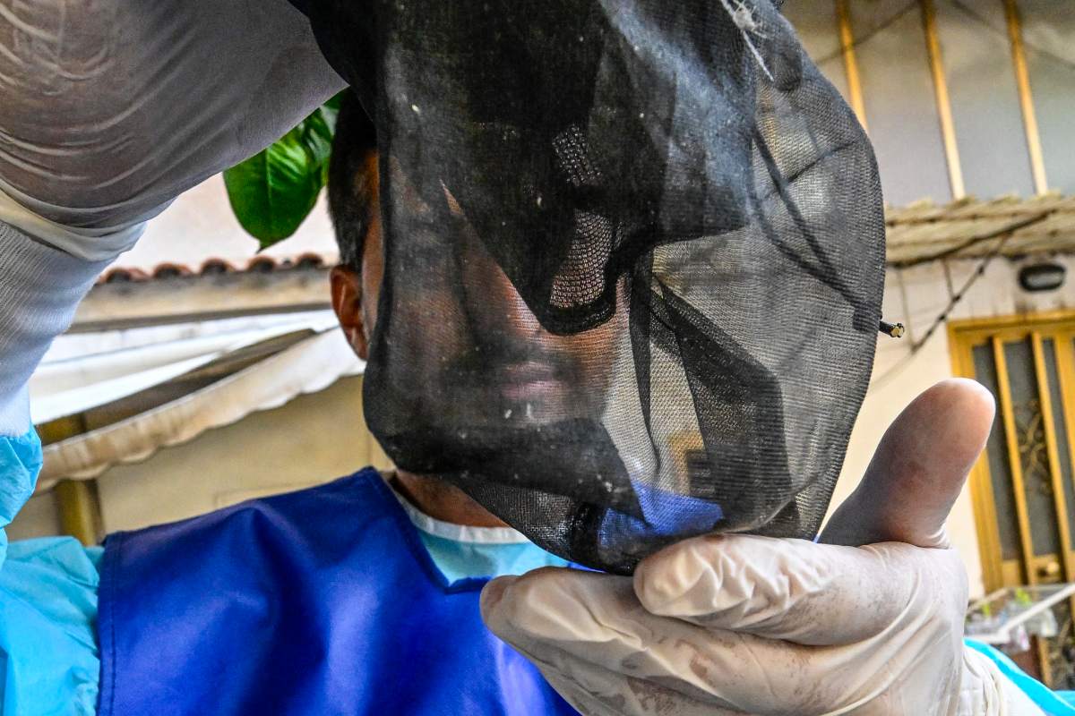 VIRUS WEST NILE/ Come si spiega l’incremento dei casi e come fare prevenzione
