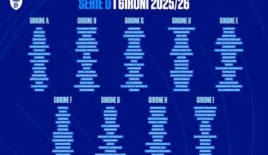 Serie D 2025 2026, tutti i gironi