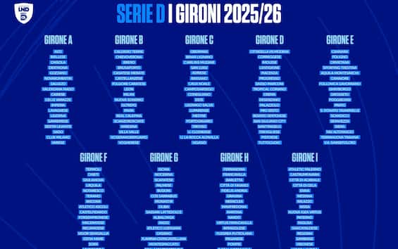 Serie D 2025 2026, tutti i gironi