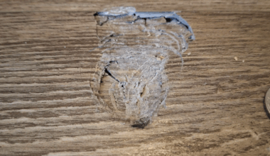 Un meteorite di 4,56 miliardi di anni sfonda il tetto di una casa in Georgia: il proprietario lo trova in salotto