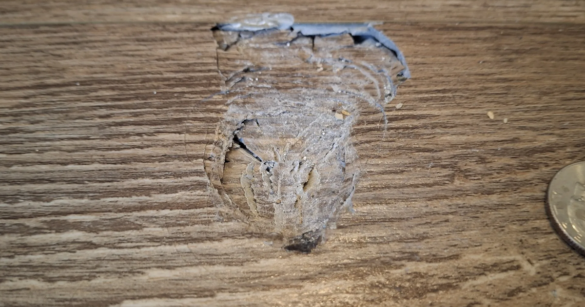 Un meteorite di 4,56 miliardi di anni sfonda il tetto di una casa in Georgia: il proprietario lo trova in salotto