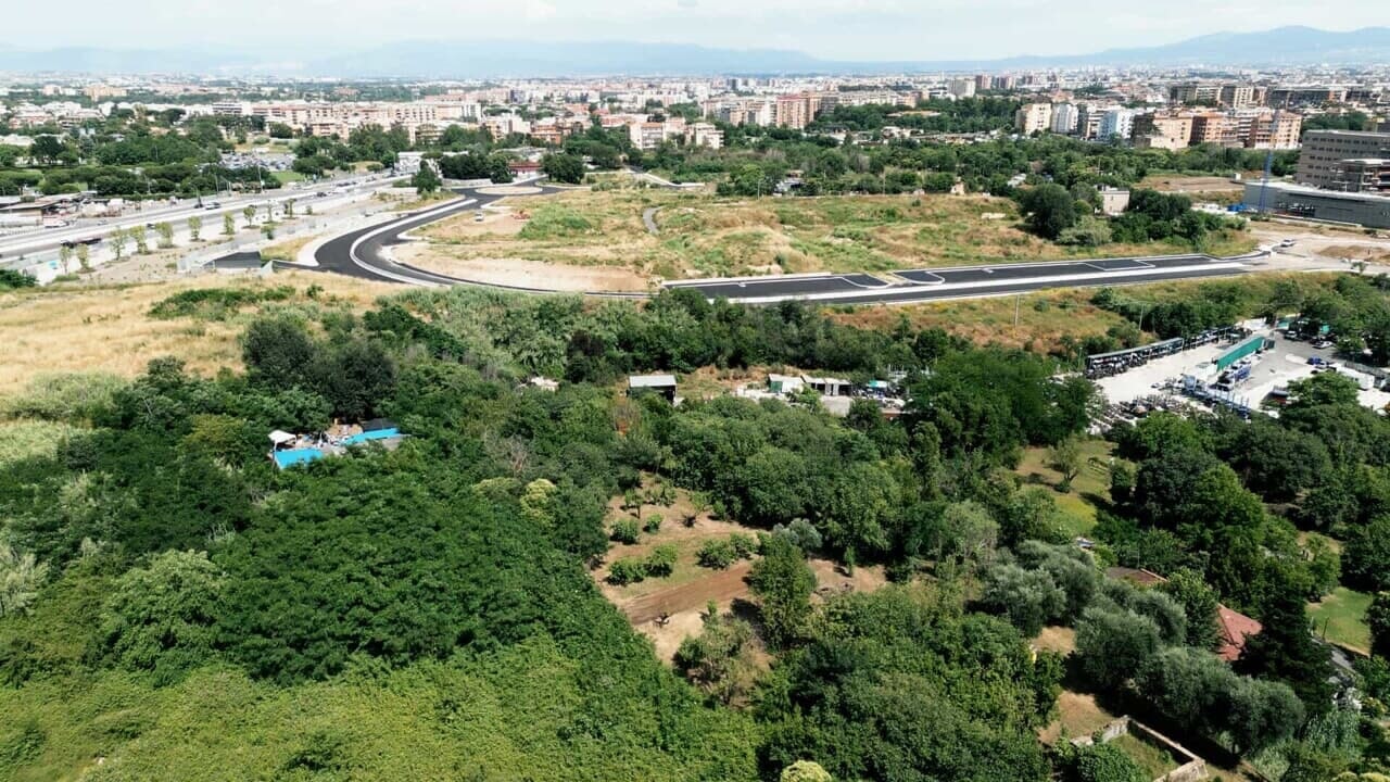“La perizia conferma l’esistenza del bosco”