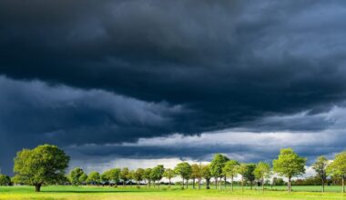 Meteo, in arrivo temporali forti e calo termico. Allerta in Appennino