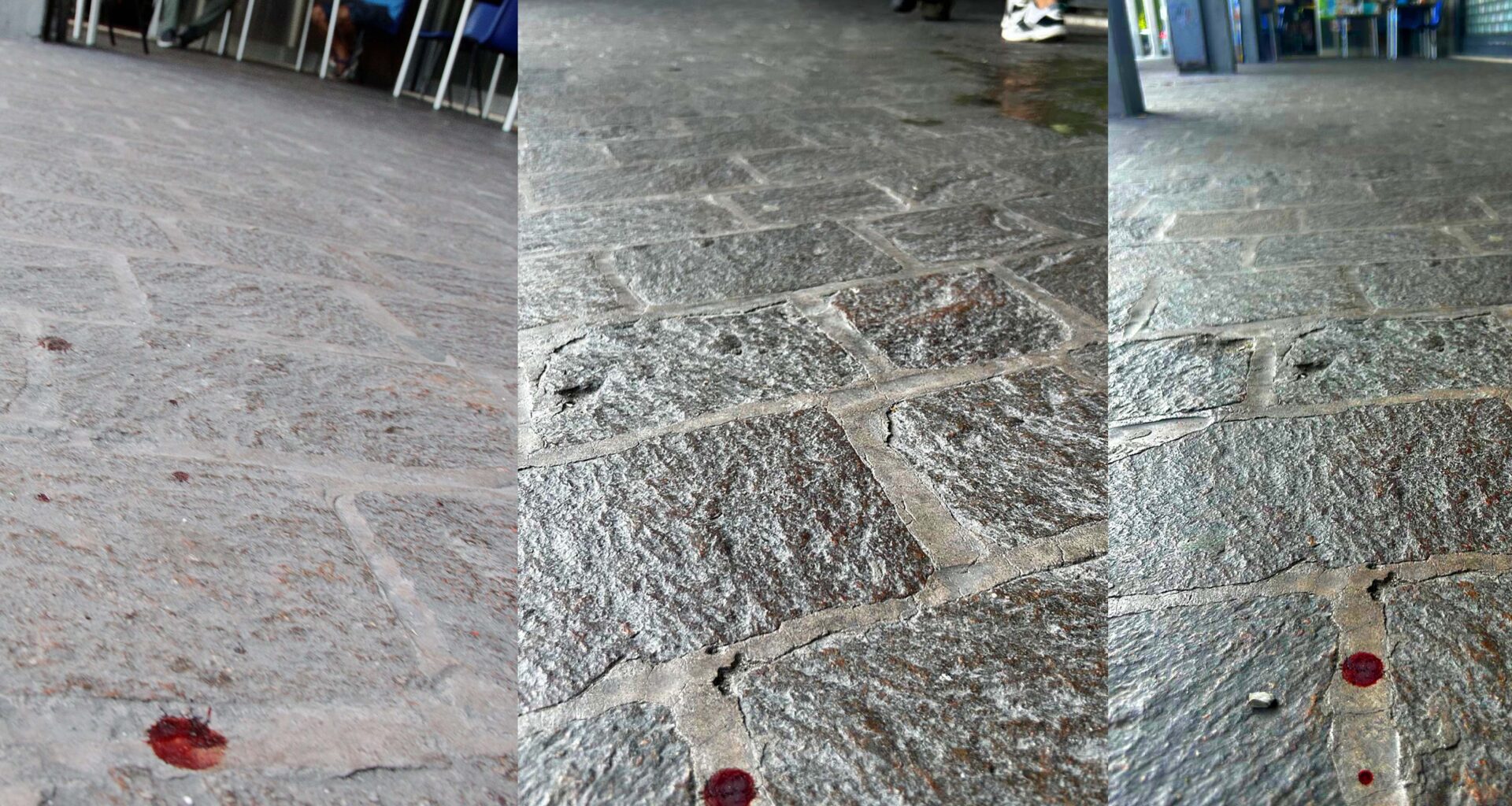 indagini in corso. FOTO Reggionline -Telereggio – Ultime notizie Reggio Emilia |