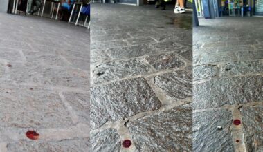 indagini in corso. FOTO Reggionline -Telereggio – Ultime notizie Reggio Emilia |
