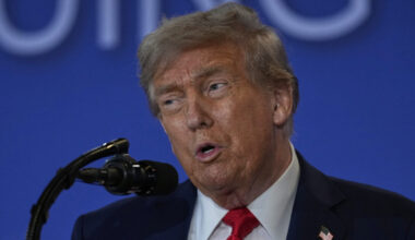 Anche l'Austria si offre di ospitare l'incontro Putin-Zelensky. Trump: "Meglio se si incontrano senza di me"