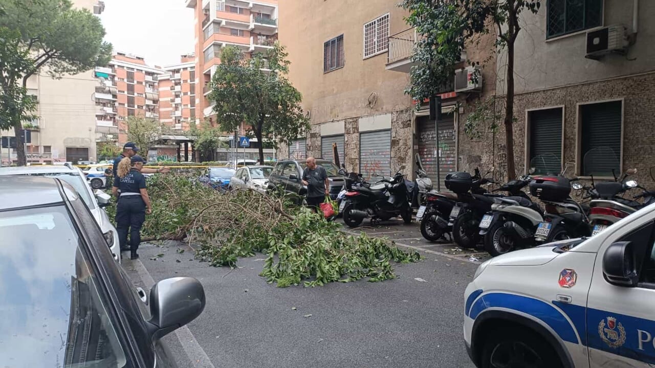 cosa è successo. Danni, strade chiuse e disagi