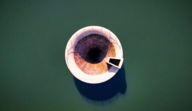 Phica, la sega mesta dell’omino e la follia collettiva della dignità notificata