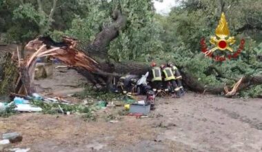 Albero cade su auto e uccide un ragazzo nel Materano