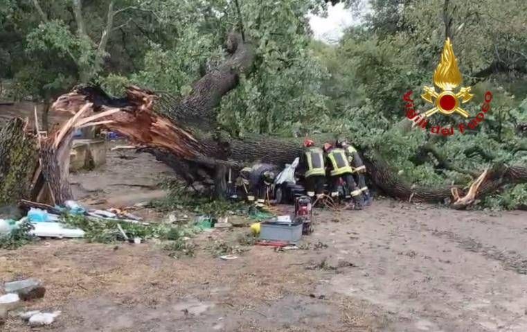 Albero cade su auto e uccide un ragazzo nel Materano