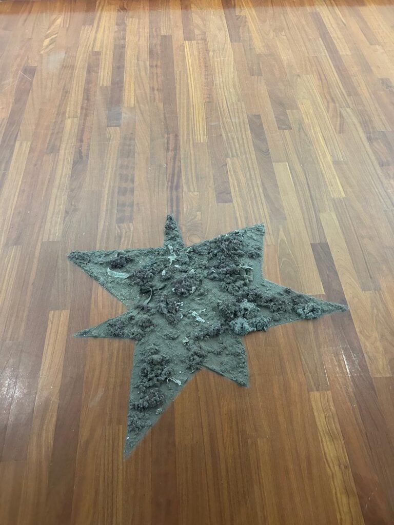 Maurizio Mercuri, Installation View 