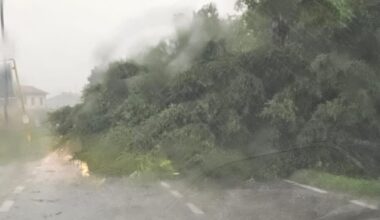 albero caduto blocca la Postumia