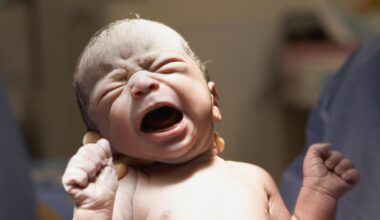 Boom di nascite da gennaio a giugno: “Siamo un’anomalia”