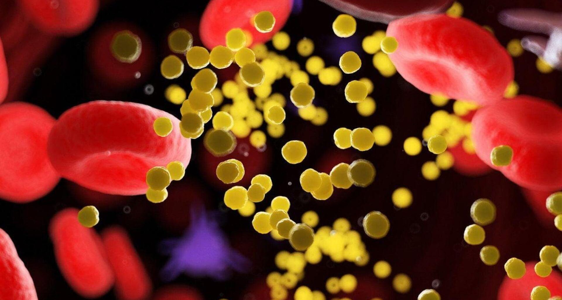 Colesterolo, all'ospedale Mauriziano terapia che riduce rischio di infarto e ictus