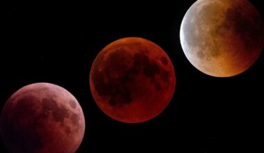 dove vedere la Luna di Sangue — idealista/news