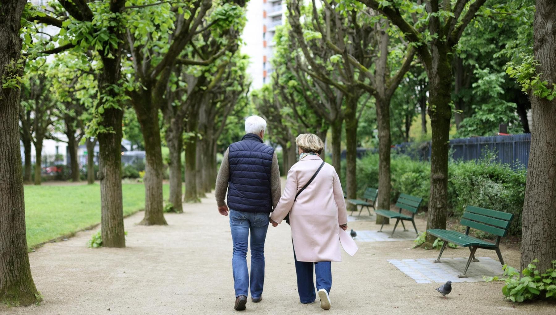 Vaccini: le regole per gli over 65