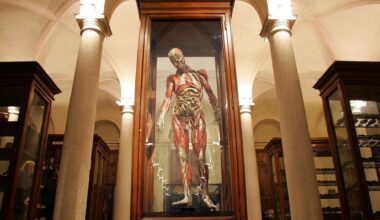 La scienza nascosta nei luoghi d’Italia: all’Egizio si riscopre il genio lungo lo Stivale