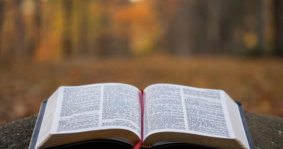 Vivere secondo il libro più importante del mondo non è essere eccentrici