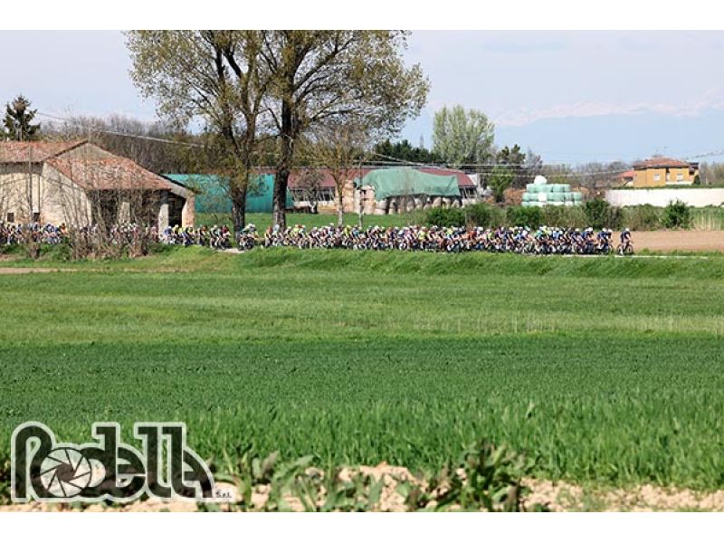 SPLENDIDO SPUNTO DEL VALDARNESE GIALLI A LASTRA A SIGNA