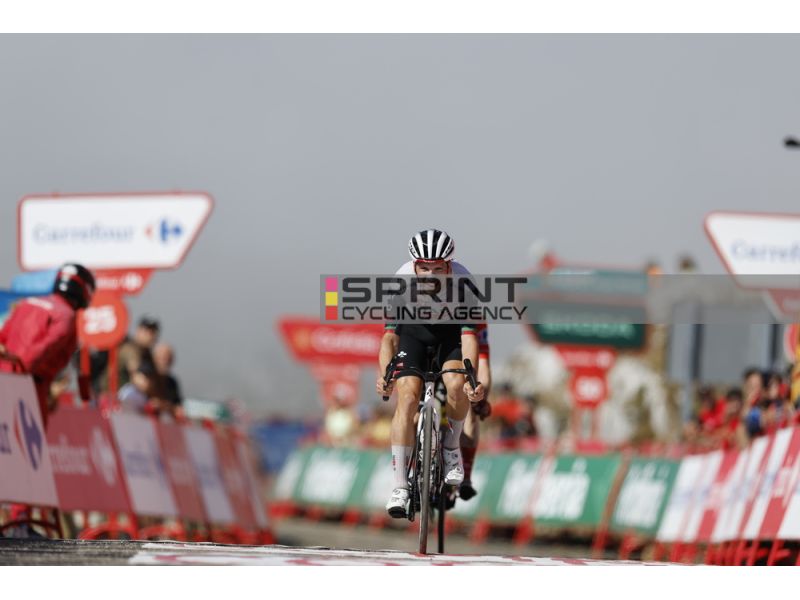 VUELTA. ALMEIDA RE DELL'ANGLIRU, GRANDE DIFESA DI VINGEGAARD. PELLIZZARI E CICCONE IN TOP10