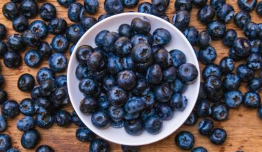 Tutti pazzi per i mirtilli, le perline blu (ma non solo) dal bosco al supermercato