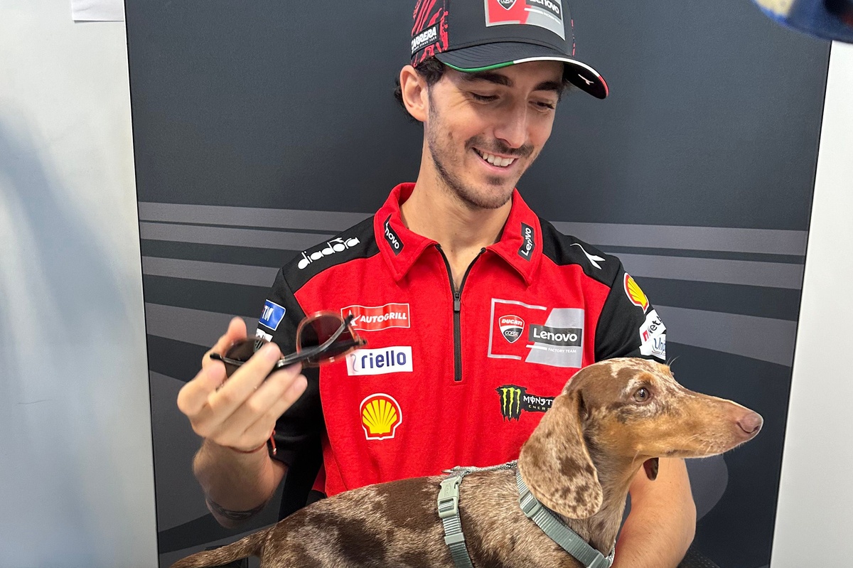 Bagnaia: "Quando parli con un pilota come Marc, prendi tutto il buono che può darti"