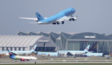 Sono tornati in Corea del Sud i lavoratori di Hyundai che erano stati arrestati negli Stati Uniti