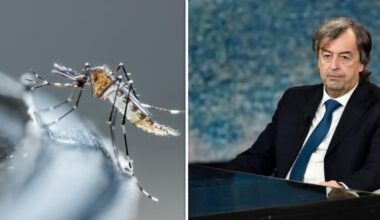 Burioni: «Né vaccini né cure, c'è solo un soluzione per la chikungunya: far sparire queste zanzare»