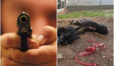 Poliziotto spara e uccide un pitbull durante un controllo anti droga. Post virale sui social 