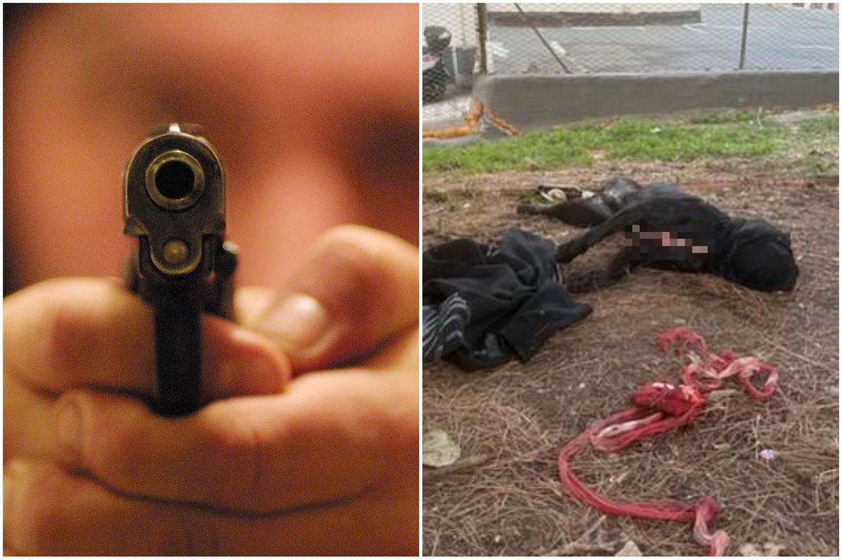 Poliziotto spara e uccide un pitbull durante un controllo anti droga. Post virale sui social 