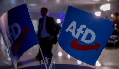Germania, l'estrema destra di AfD triplica i voti alle elezioni locali e porta 3 candidati sindaci al ballottaggio