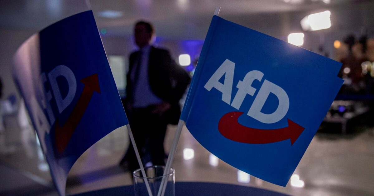 Germania, l'estrema destra di AfD triplica i voti alle elezioni locali e porta 3 candidati sindaci al ballottaggio