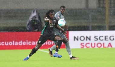 Il risultato e il tabellino di Hellas Verona-Venezia