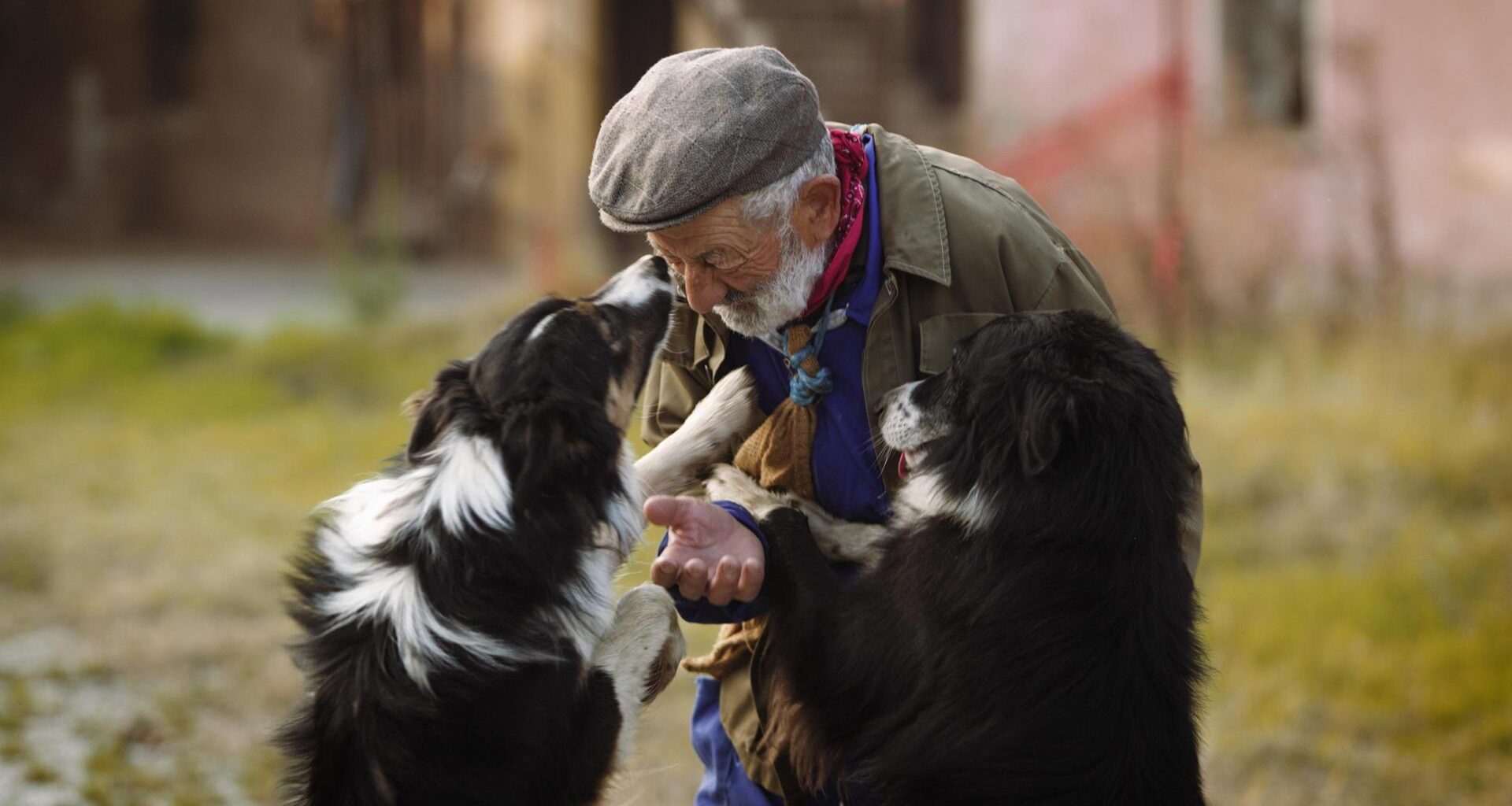 I “Poeti di pianura” che dalle rive dello Stura producono natura dove c’è desolazione