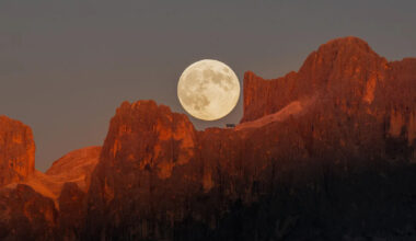 Astronomy Photographer of the Year 2025