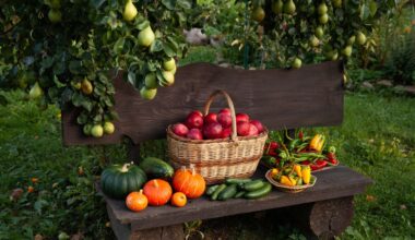 Cosa mangiano i nutrizionisti a settembre: la lista della spesa degli esperti