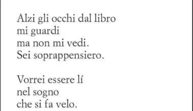 Giancarlo Consonni oltre il velo delle cose