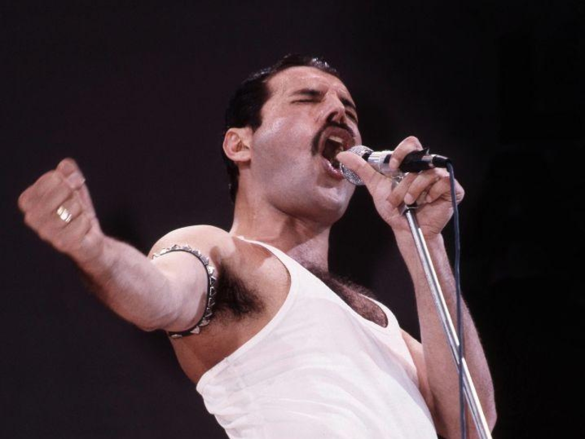 Freddie Mercury avrebbe 79 anni: la grande passione per i gatti, gli amori, 10 segreti