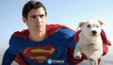 Hollywood delusa, pochi incassi nell'estate cinematografica. Si salvano «Lilo e Stitch» e «Superman»